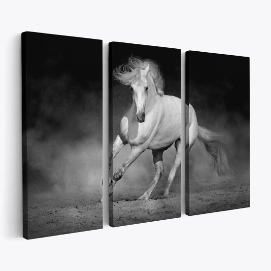 Cuadro tríptico - Caballo