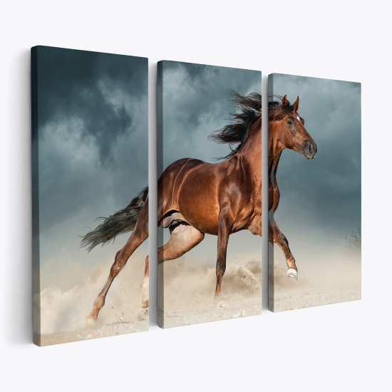Cuadro tríptico - Caballo