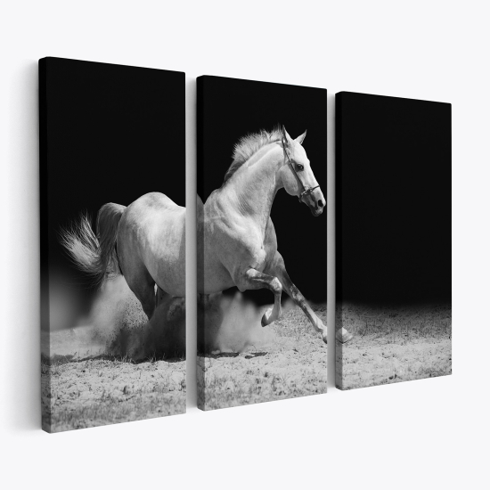 Cuadro tríptico - Caballo blanco