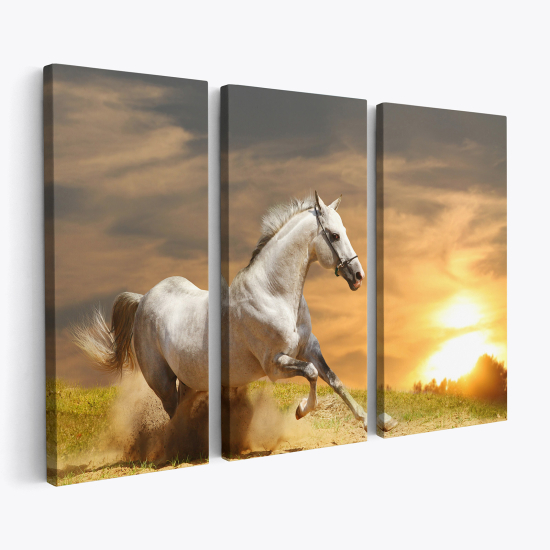 Cuadro tríptico - Caballo blanco