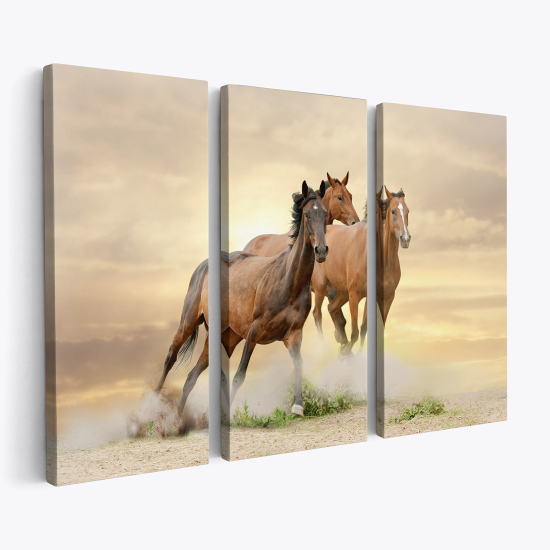 Cuadro tríptico - Caballos