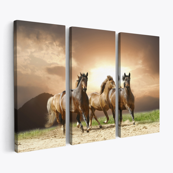 Cuadro tríptico - Caballos