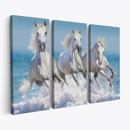 Cuadro tríptico - Caballos