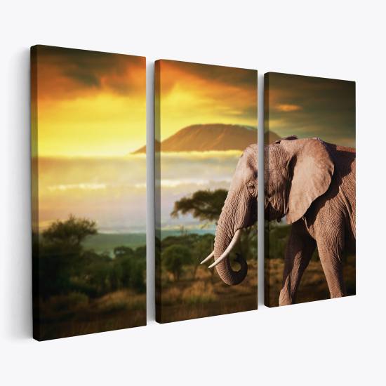 Cuadro tríptico - Elefante