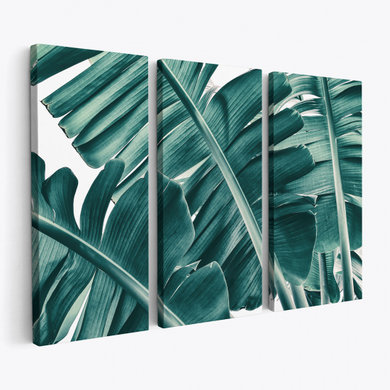 Cuadro tríptico - Hojas Tropicales