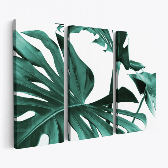 Cuadro tríptico - Hojas Tropicales Monstera