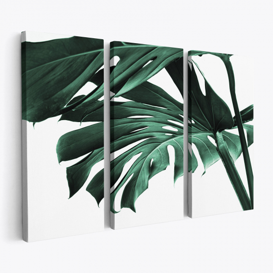 Cuadro tríptico - Hojas Tropicales Monstera