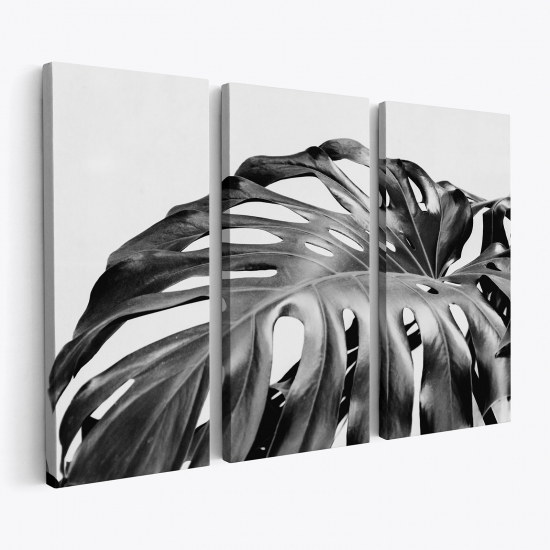 Cuadro tríptico - Hojas Tropicales Monstera