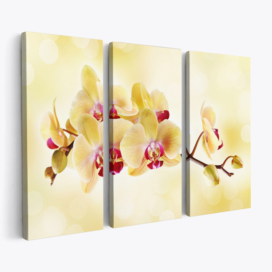 Cuadro tríptico - Orquídeas