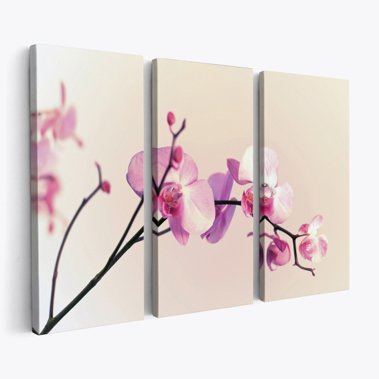Cuadro tríptico - Orquídeas