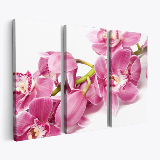 Cuadro tríptico - Orquídeas