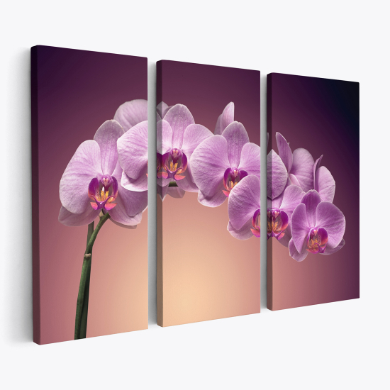 Cuadro tríptico - Orquídeas