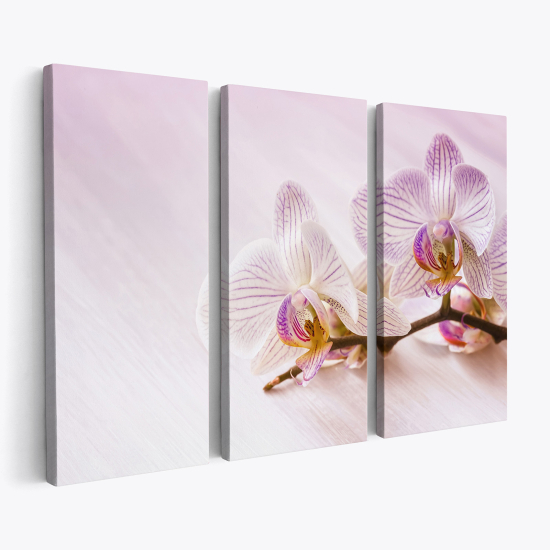 Cuadro tríptico - Orquídeas