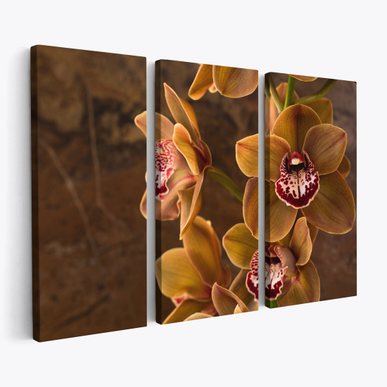 Cuadro tríptico - Orquídeas