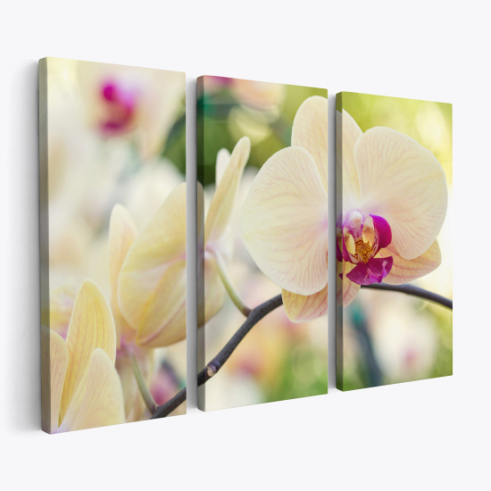 Cuadro tríptico - Orquídeas