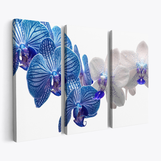 Cuadro tríptico - Orquídeas