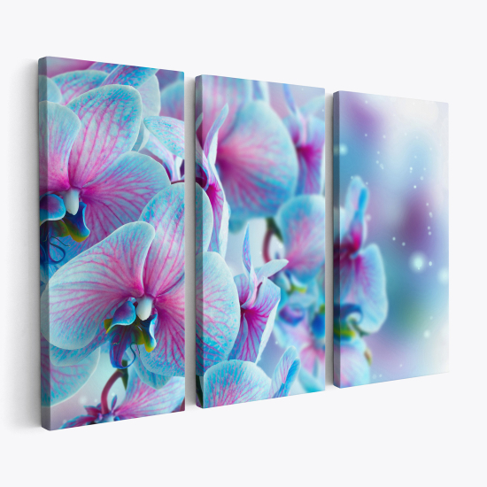 Cuadro tríptico - Orquídeas coloridas