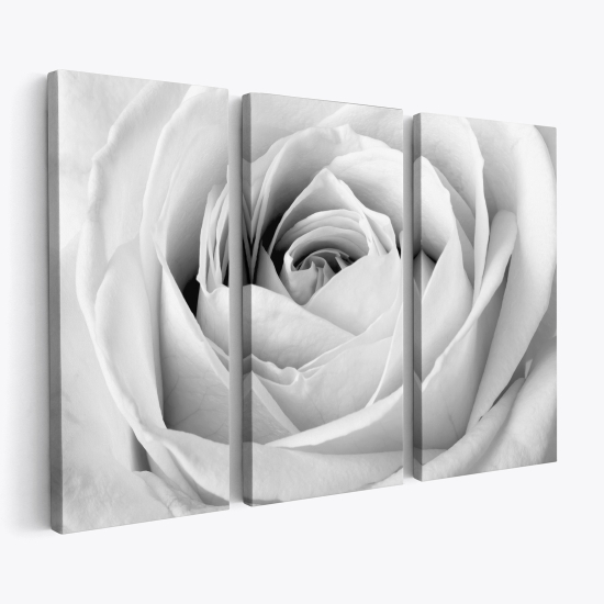 Cuadro tríptico - Rosa blanca