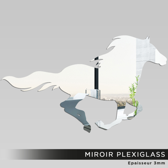 Espejo acrílico plexiglás - Caballo
