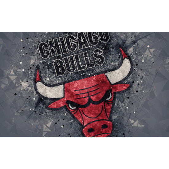 Papel pintado panorámico Basket / Baloncesto - Chicago Bulls
