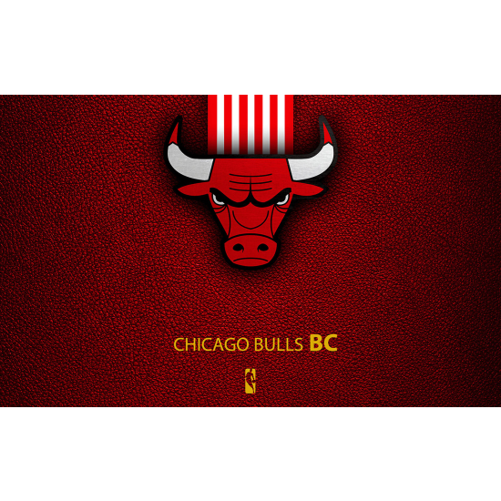 Papel pintado panorámico Basket / Baloncesto - Chicago Bulls