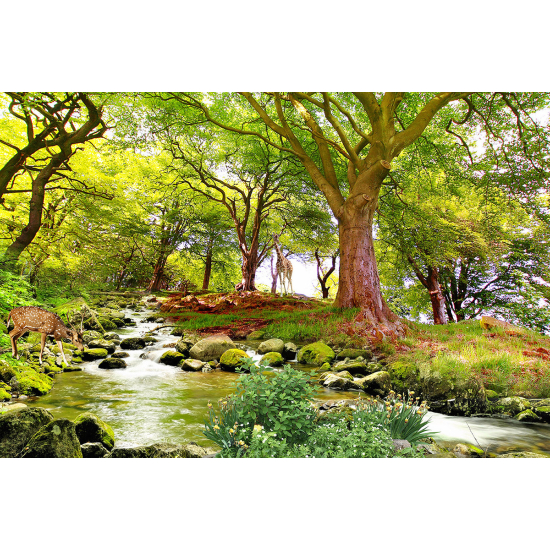 Papel pintado panorámico - Bosque
