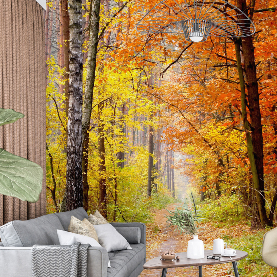 Papel pintado panorámico - Bosque Otoño