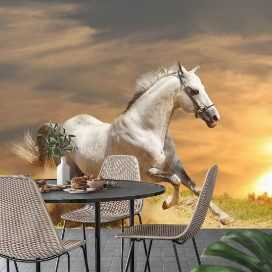 Papel pintado panorámico - Caballo