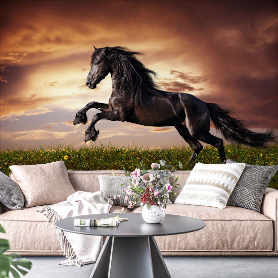 Papel pintado panorámico - Caballo