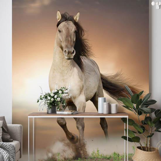 Papel pintado panorámico - Caballo
