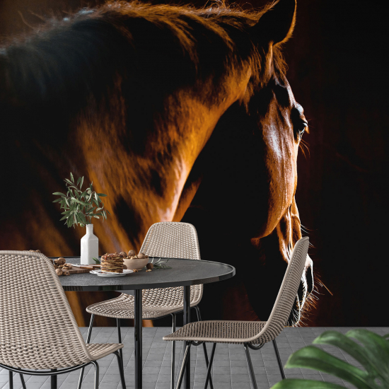 Papel pintado panorámico - Caballo