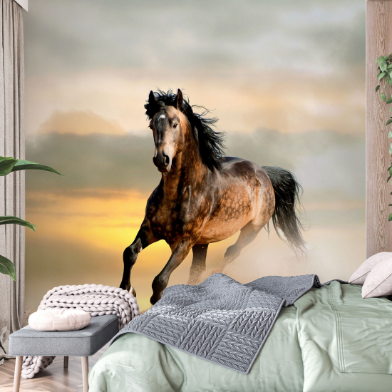 Papel pintado panorámico - Caballo