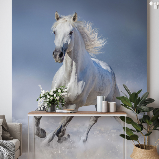 Papel pintado panorámico - Caballo