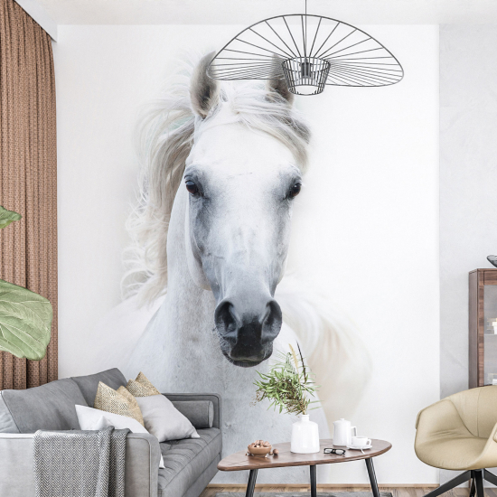Papel pintado panorámico - Caballo