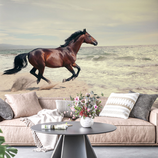 Papel pintado panorámico - Caballo Mar