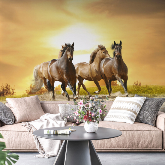 Papel pintado panorámico - Caballos