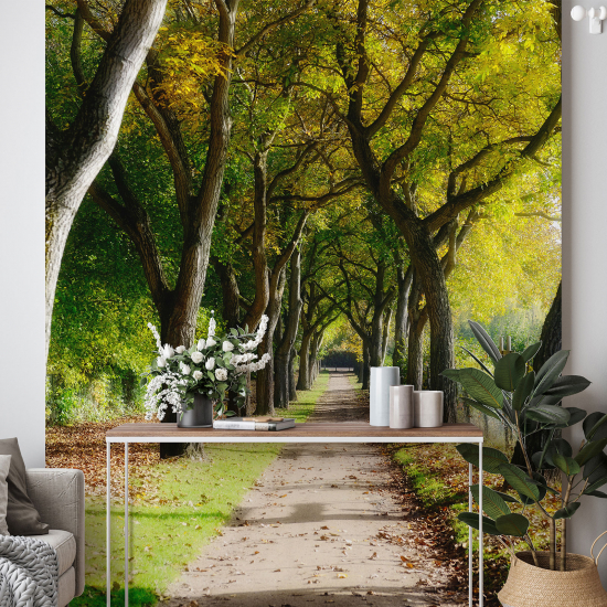 Papel pintado panorámico - Camino Bosque