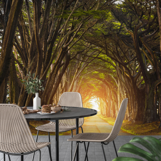 Papel pintado panorámico - Camino Bosque