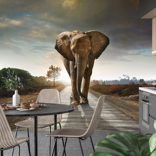 Papel pintado panorámico - Elefante