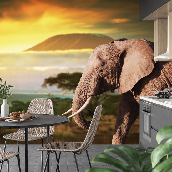 Papel pintado panorámico - Elefante