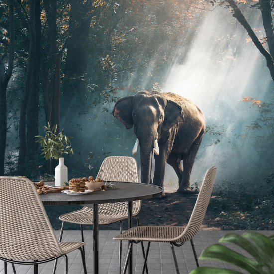 Papel pintado panorámico - Elefante