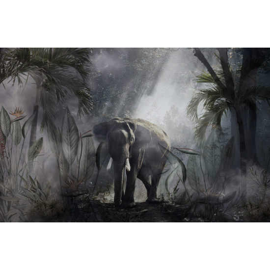 Papel pintado panorámico - Elefante