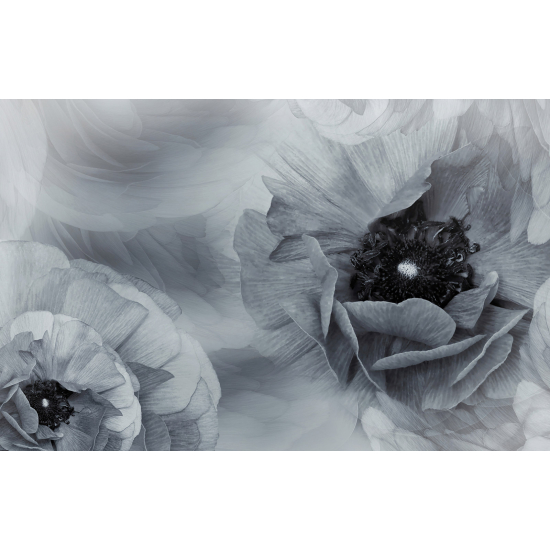 Papel pintado panorámico - Flores
