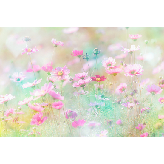 Papel pintado panorámico - Flores