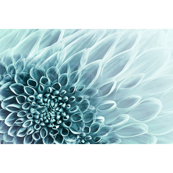 Papel pintado panorámico - Flores