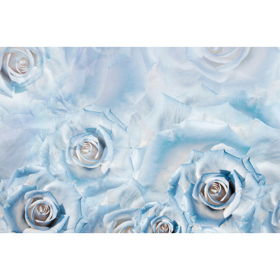 Papel pintado panorámico - Flores
