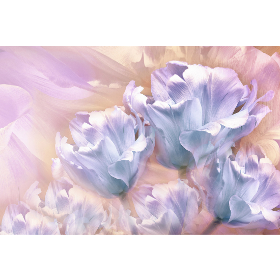 Papel pintado panorámico - Flores