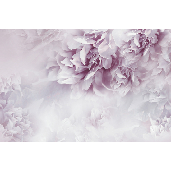 Papel pintado panorámico - Flores
