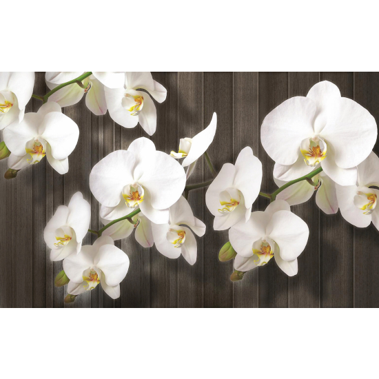 Papel pintado panorámico - Flores