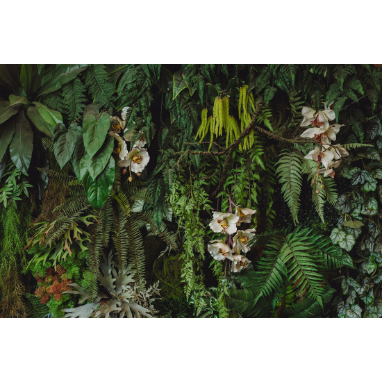Papel pintado panorámico - Flores